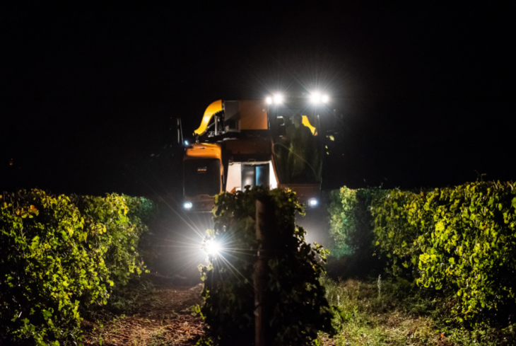 vendanges de nuit domaine de la baume