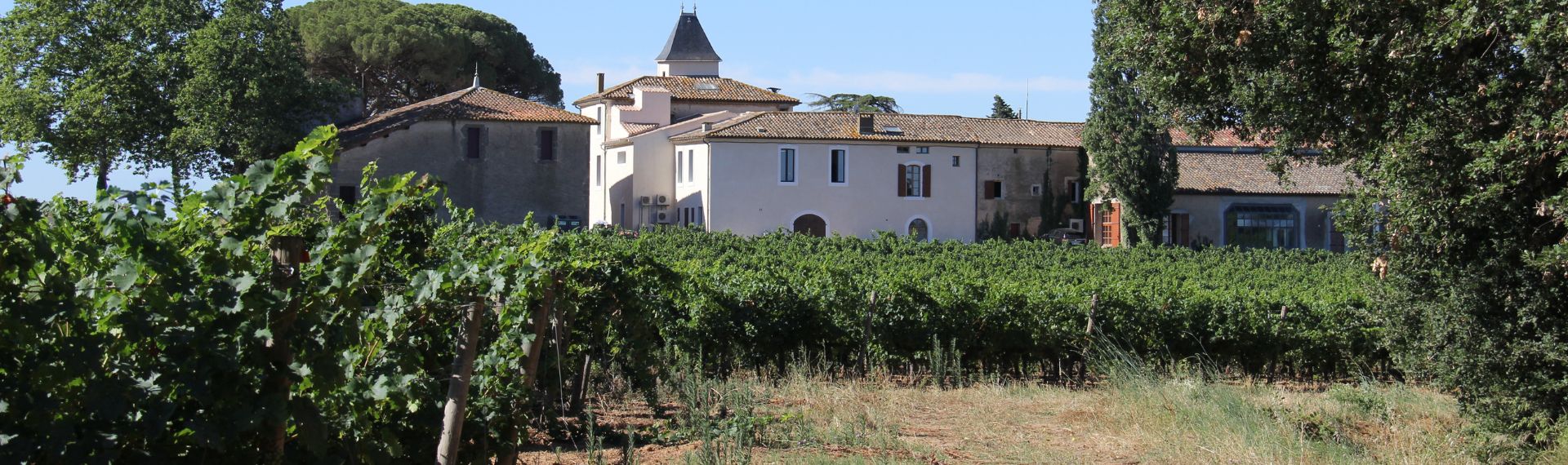 vignoble domaine de la baume