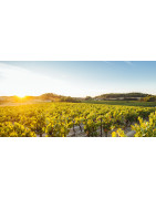 Nos Châteaux et Domaines du Languedoc | Domaine de la Baume