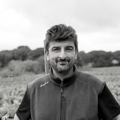 Pascal Combes